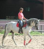 Bienvenu au haras du Croc Marin !